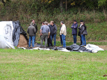 So wirtschaften Niederösterreichs Mutterkuh-Betriebe.jpg © Dipl.-Ing. agr. Sandra Pfuner, ABL